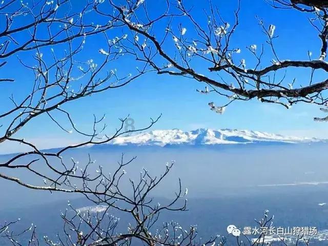 动动大脑瓜男女差别通关攻略