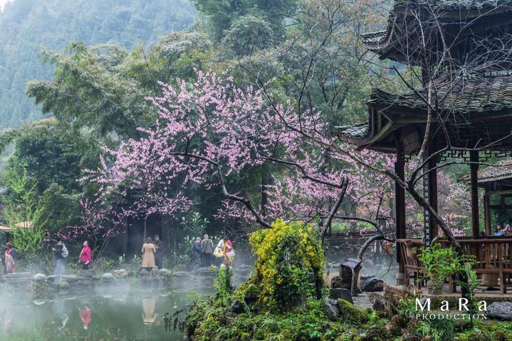 虫虫助手下载