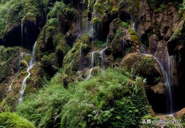 拯救巧虎4