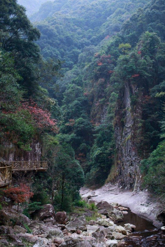 逃离椰子岛