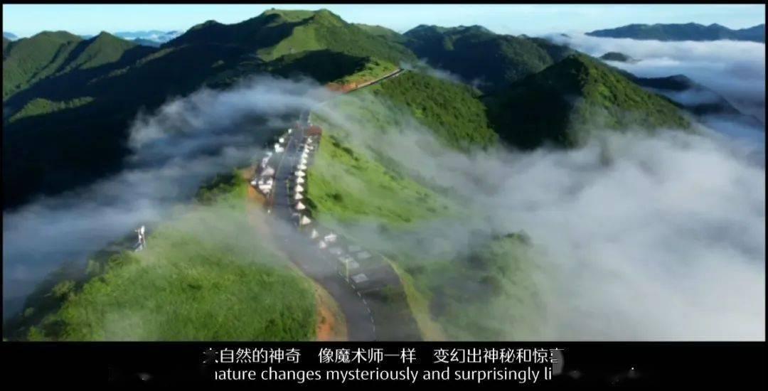 羊肉补气血肺虚最相宜，冬天喝羊汤有哪些好处？游戏画面